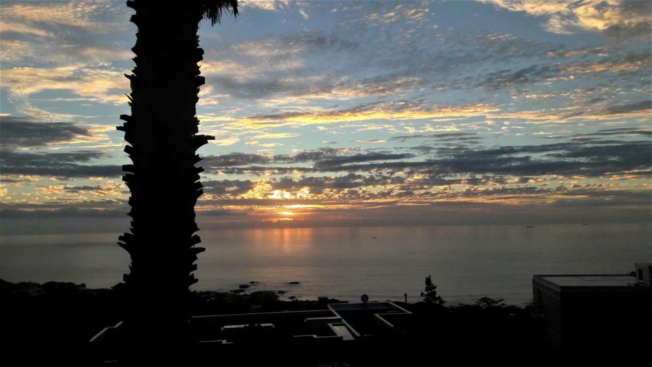 Guest House Michelitsch Cape Town Dış mekan fotoğraf